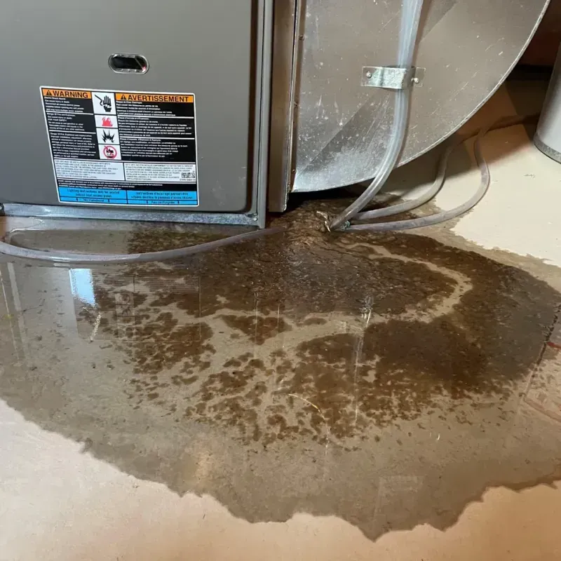 Appliance Leak Cleanup in South Lawndale, IL